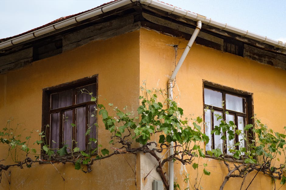 Professional home services expertise and quality contractors